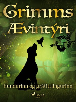 cover image of Hundurinn og grátittlingurinn